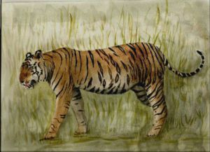 Voir le détail de cette oeuvre: Tigre du Bengale